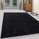 Plain Rug Black and Grey Anthracite Modern Carpet Small Extra Large Bedroom Living Room Area Lounge Hallway Runner Mat New