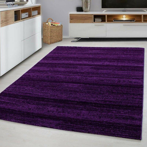 Rug for Living Room New Modern Purple Carpet Small X Large Living Room Hall Mats