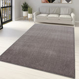 Plain Beige Rug Modern Soft Carpet Large XL Small  Living Room Bedroom Area Floor Mats