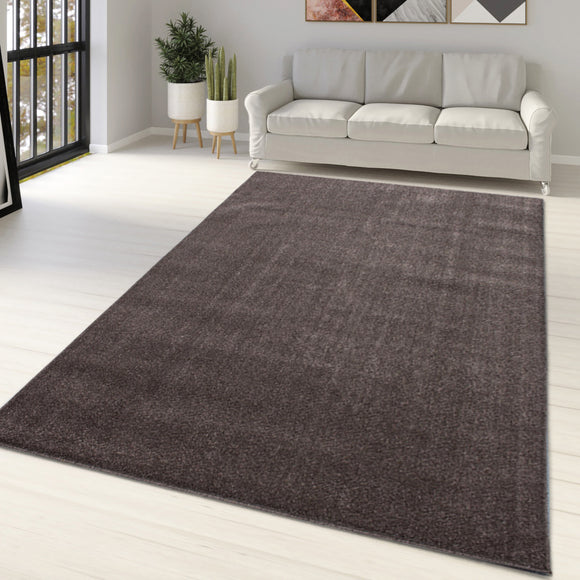 Large Plain Rug Mocca Brown Colour Modern Soft Carpet Large XL Small Living Room Bedroom Area Floor Mats